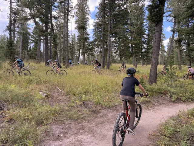 Riders following a winding trail through the trees